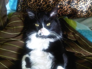 This is Elinore