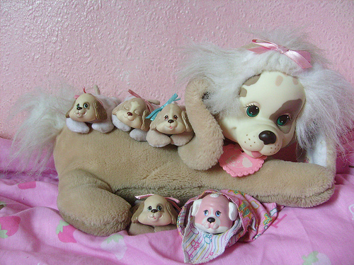 puppy surprise
