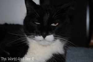 DSC_0134-w