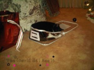 IMG00149-20101229-2141