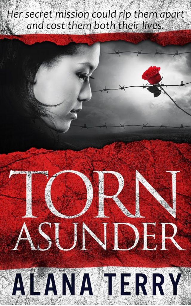 Torn Asunder - Ebook Small